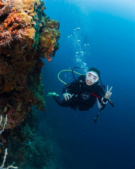 Paradive H.K. Scuba Diving Resort .